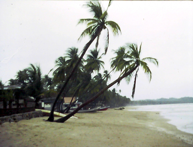 Mayaro Beach Trinidad